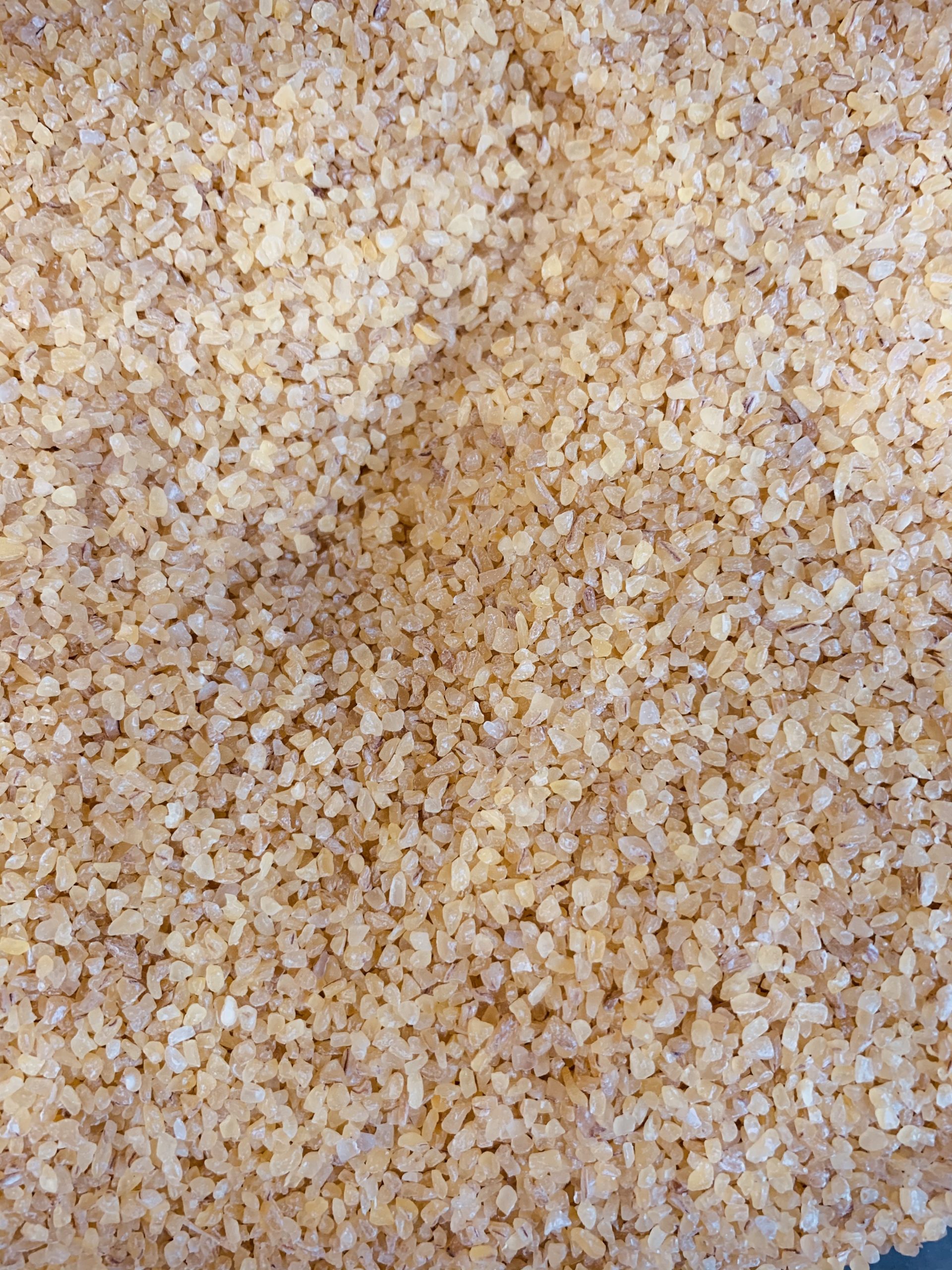 Boulgour, (blé dur précuit), gros grains, issu de l'agriculture biologique